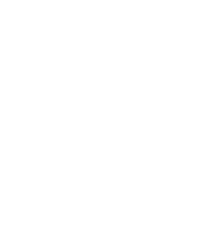 Российская экологическая партия «ЗЕЛЁНЫЕ», основана в 1993 году